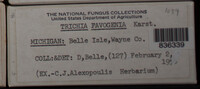 Image Associated With the Occurence